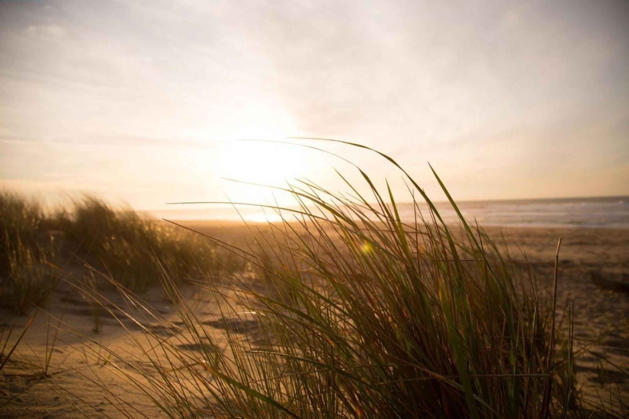Grosse Nordseewelle Ohne Hund Norden Exterior foto